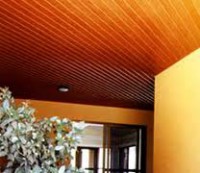 /album/forro-de-cedrinho/forro-de-cedrinho-5-jpg/